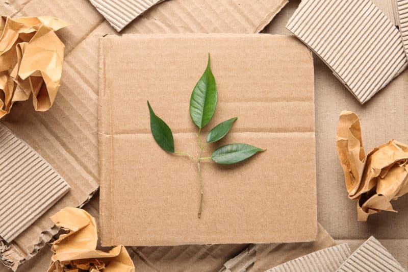 Featured image for How Sustainable Packaging Is Leading the Way for a Greener Future