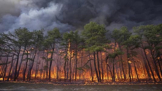 Image for Joseph Kling, 19, Accused of Arson in Huge New Jersey Wildfire