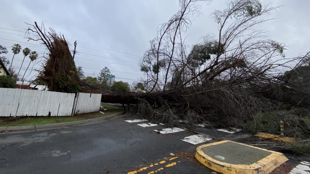 High Wind Warning in California