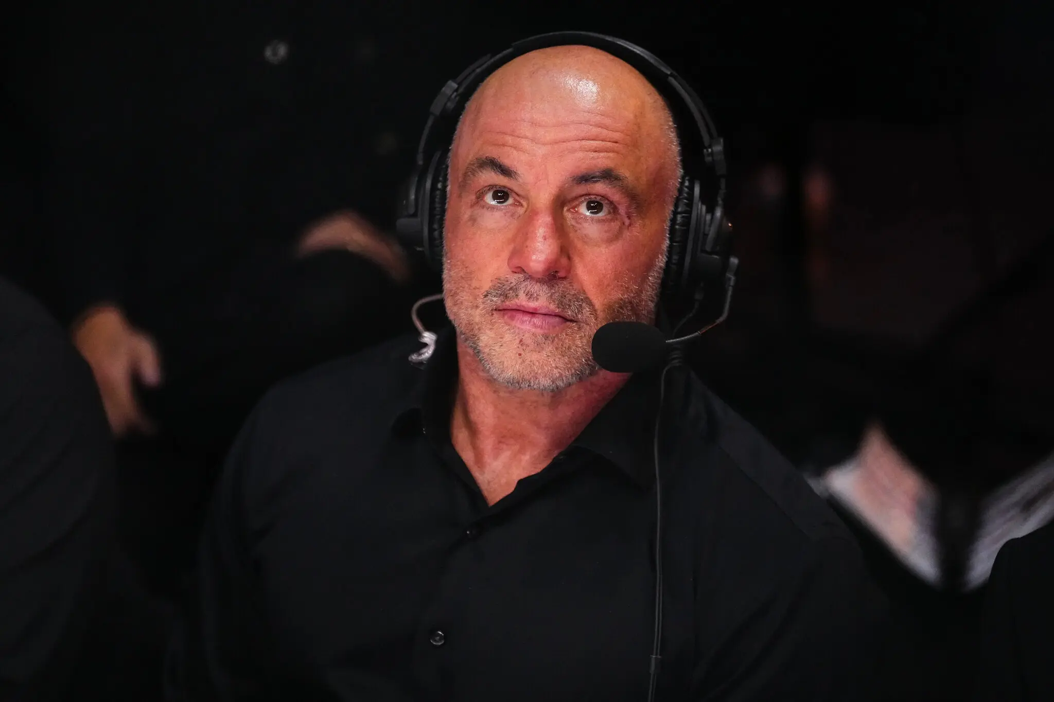Featured image for Joe Rogan Experience Dethroned by Rotten Mango on YouTube Rankings