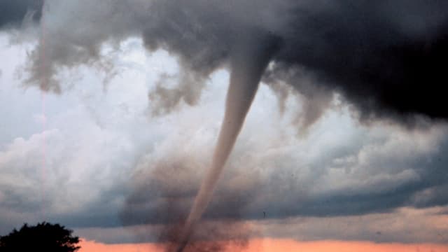 Tornado