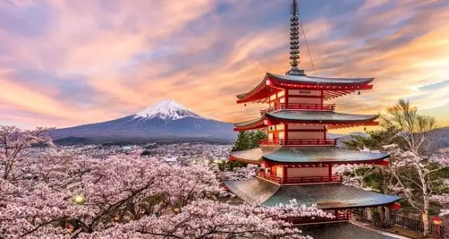 10 Best Neighborhoods to Visit in Tokyo