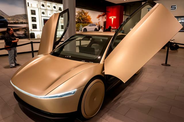 Tesla Robotaxi