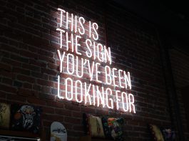 7 Secrets of Financial Survivors