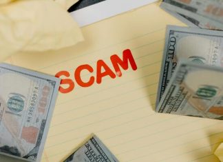 Lions, Tigers and Predatory Lenders: Oh My!