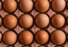 FDA Egg Recall in 9 States Over Salmonella Fears Costco Egg Recall