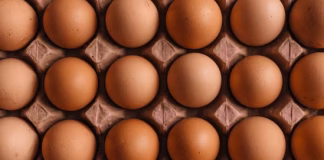 FDA Recalls Costco Eggs | Health & Safety Update Costco Egg Recall