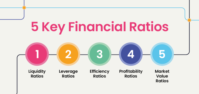 Top Financial Ratios