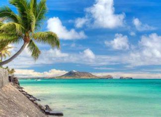 Best Beaches in the USA During Winter: Sun-Kissed Escapes Best Beaches