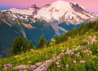 7 Best Weekend Getaways In Washington For Family