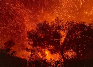 School Closures in LA Due to California Wildfires: Full Overview Califronia school closures