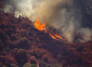 Hughes Fire Breaks Out Near Los Angeles: Around 30,000 People Ordered To Evacuate New Hughes Fire Threatens Los Angeles