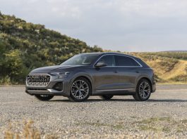The 2024 vs 2025 Audi Q8 Luxury SUV