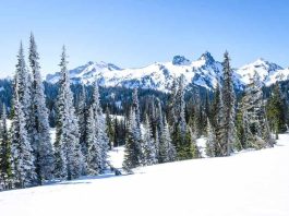 Winter Getaways in Seattle: 20 Things to Do in 2025 Winter Getaways in Seattle