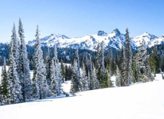 Winter Getaways in Seattle: 20 Things to Do in 2025 Winter Getaways in Seattle