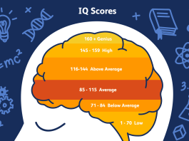 State-By-State Average IQ in the U.S. – State IQ Rankings average iq