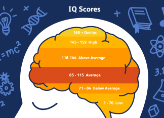 State-By-State Average IQ in the U.S. – State IQ Rankings average iq