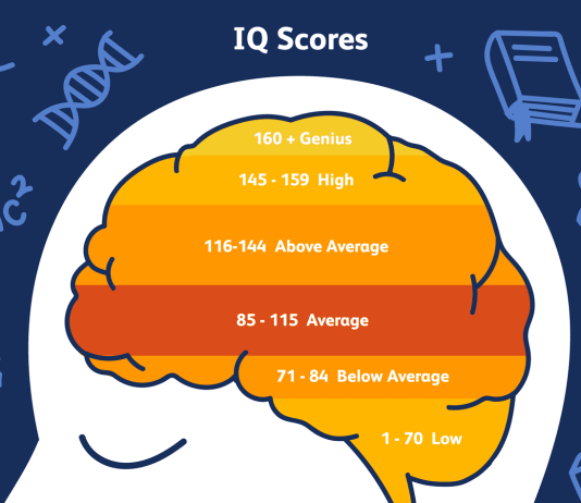 State-By-State Average IQ in the U.S. – State IQ Rankings average iq