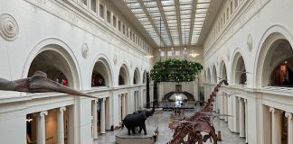 Best Couples Weekend Getaways in Chicago in 2025 couples weekend gateways in chicago