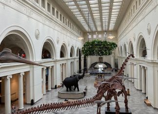 Best Couples Weekend Getaways in Chicago in 2025 couples weekend gateways in chicago