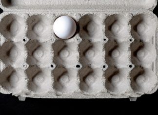 Why Egg Prices Are So High? Egg Shortage in Washington Egg shortage