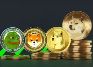 Best 5 Meme Coins to Buy Before January 21 of 2025 Meme Coins