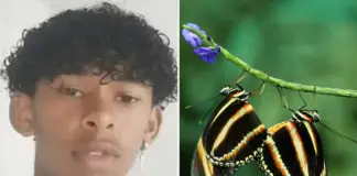 Brazilian Teen Dies After Butterfly Injection – Deadly Social Media Trend Brazilian Teen