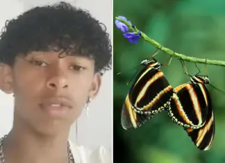 Brazilian Teen Dies After Butterfly Injection – Deadly Social Media Trend Brazilian Teen