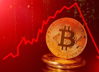 Crypto Crash Warning by Experts: Is a Total Collapse Coming? Crypto Crash