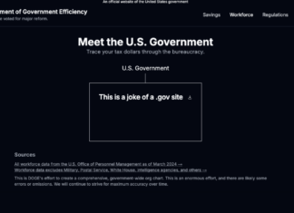 DOGE Website Hacked After Launch: Data Vulnerabilities Let Anyone Make Unauthorised Modifications DOGE Website