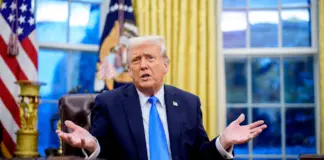 Probationary Federal Employees Fired: Trump Admin’s Decision Federal Employees