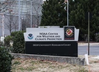 NOAA Layoffs: 800 Employees Fired by Trump Administration NOAA