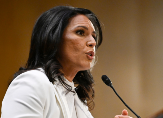 Tulsi Gabbard Confirmed as U.S. Director of National Intelligence Tulsi Gabbard