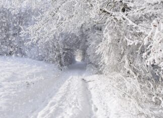 NYC Winter Storm Warning: Snowfall, Travel Alerts & Safety Tips Winter Storm