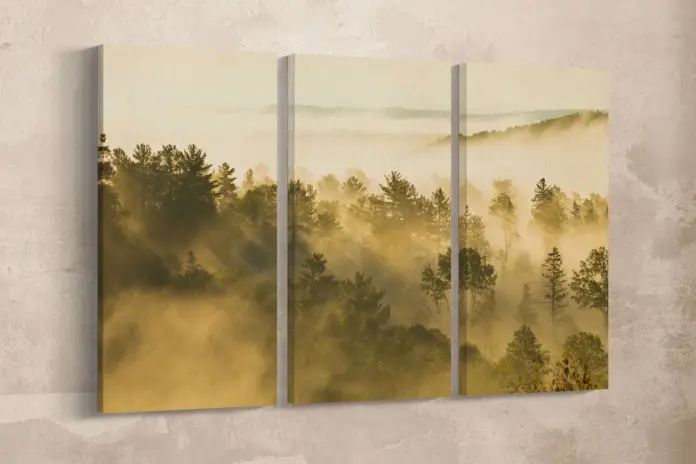 Art The Growing Demand for High-Quality Canvas Prints
