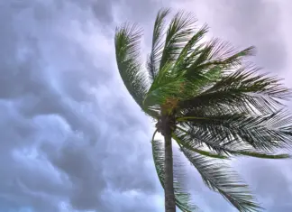 Severe Weather Threat Across Southern US: Hail And Tornadoes Likely To Start From Friday Severe Weather Threat Across Southern US