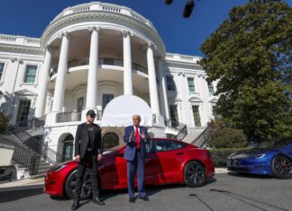 Trump Turns The White House Lawn Into A Tesla Showroom White House Lawn Into A Tesla Showroom
