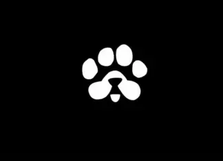 PAWS Token Pre-Market Trading Begins – Listing on March 18 PAWS