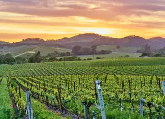 Popular Destinations in California in May for Coast, Wine & Parks California in May