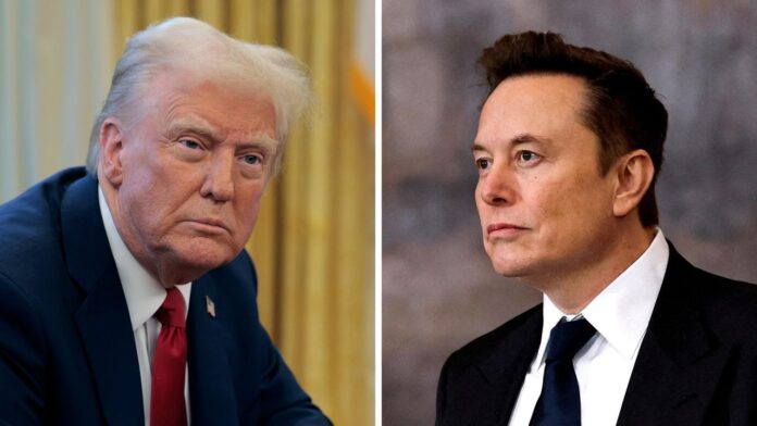 Musk's DOGE Blocked From Trump Ads