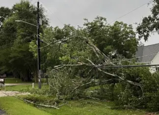Tree Falls, Cause Destruction on Power Outage in Stone Mountain, Georgia – April 2025 Update Tree Falls, Cause Destruction on Power Outage in Stone Mountain, Georgia