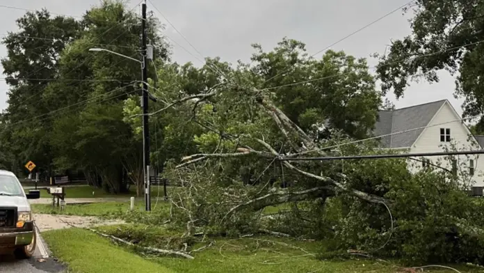 Tree Falls, Cause Destruction on Power Outage in Stone Mountain, Georgia