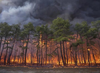 Joseph Kling, 19, Accused of Arson in Huge New Jersey Wildfire