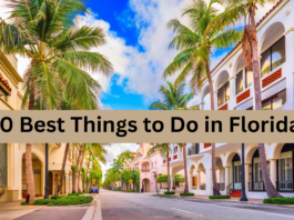 Top 10 Things to Do in Florida in May – Beaches, Festivals & More Things to Do in May in Florida