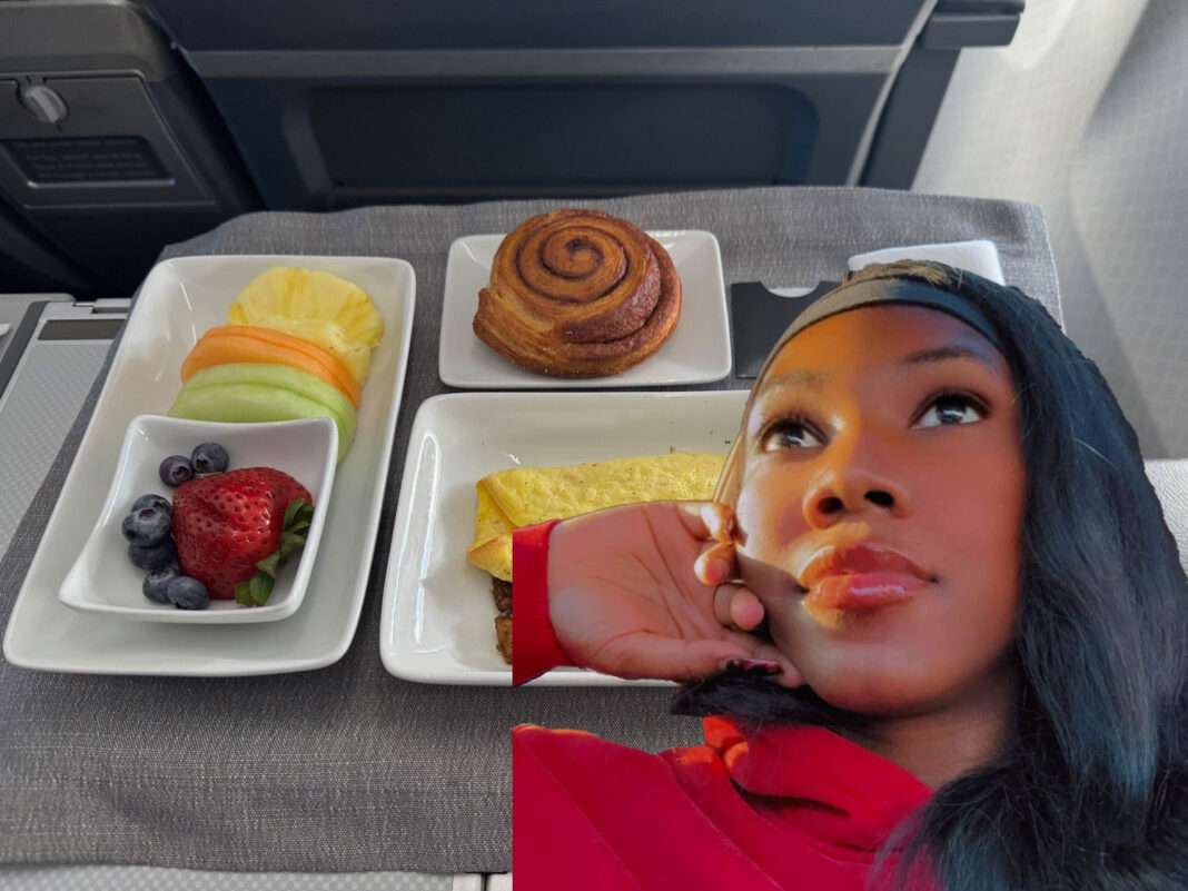 American Airlines Allegedly Denies Black Passenger Food