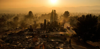 Aftermath of the Eaton Fire in Altadena: Residents Demand Real Action Eaton Fire in Altadena