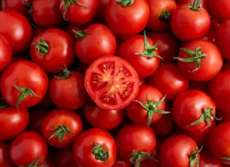FDA Issues Tomato Recall Over Salmonella Risk FDA Issues Tomato Recall Over Salmonella Risk