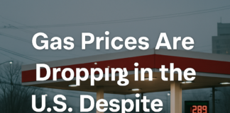 Gas Prices Drop in the U.S. Despite Hurricane Season | 2025 Update Gas Prices Drop