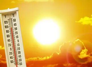 Record Heatwave Forecast for U.S. Summer 2025: States Issue Warnings Heatwave