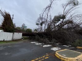 High Wind Warning in California: Wind Alerts, Rain Chances & Safety Tips High Wind Warning in California